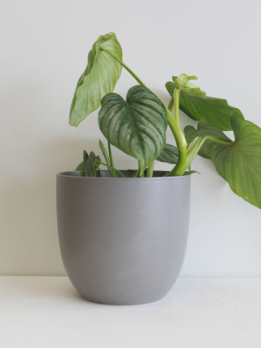 Egg Cover Pot Set
