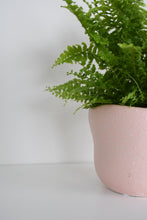 Load image into Gallery viewer, Tusca Pot