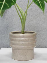 Load image into Gallery viewer, Speckled Pot