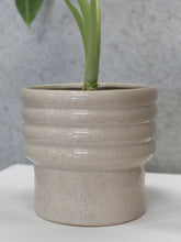 Load image into Gallery viewer, Speckled Pot
