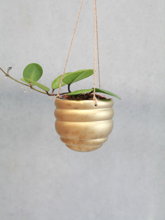 Honeycomb Hanging Pot