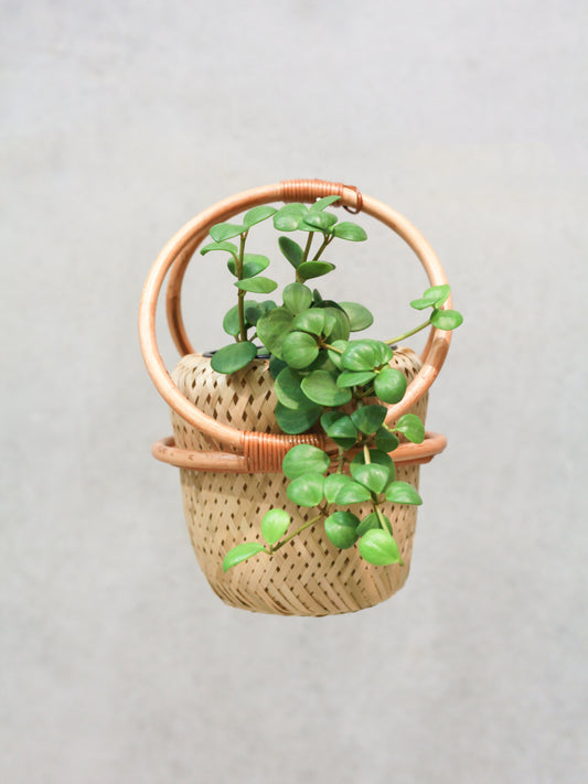 Small rattan hanging basket
