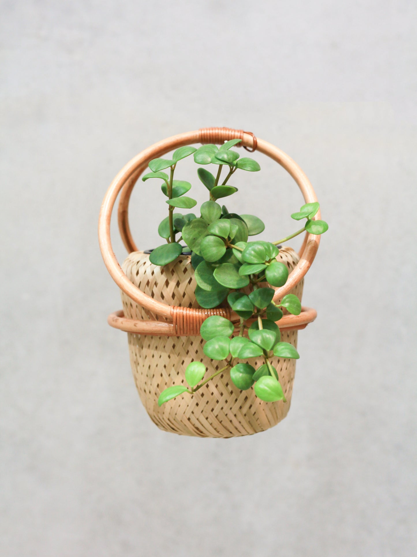 Small Rattan Hanging Basket