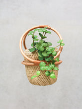 Load image into Gallery viewer, Small Rattan Hanging Basket