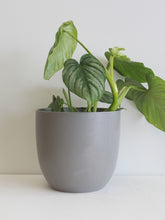 Load image into Gallery viewer, Egg Cover Pot Set