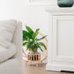 Ava Rattan Plant Hanger