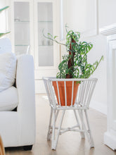 Load image into Gallery viewer, Victoria Square Plant Stand